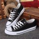 Women's Stylish Lace-Up Skate Shoes - Comfortable & Fashionable Canvas Low Top Sneakers